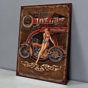 American Heritage Pin-Up