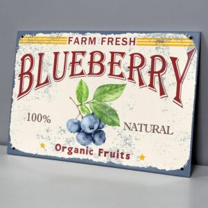 Arándanos Farm Fresh Orgánicos