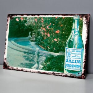 Salus Jardín Con Fuente