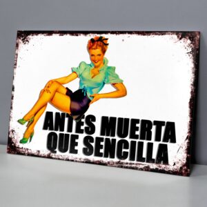 Antes Muerta Que Sencilla, Pin Up