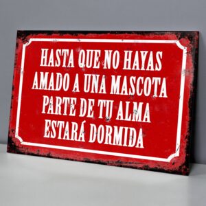 Amado a Una Mascota, Parte De Tu Alma Estará Dormida