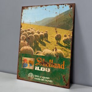 Lana Shetland Ildu, Moda del Mundo