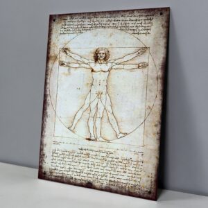 Hombre De Vitruvio, Da Vinci